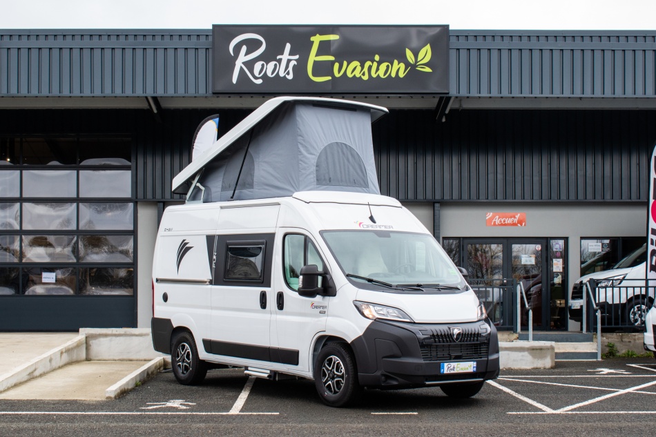 DREAMER--FUN D 43 UP